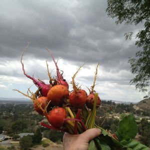 Meet your Posher, Kay